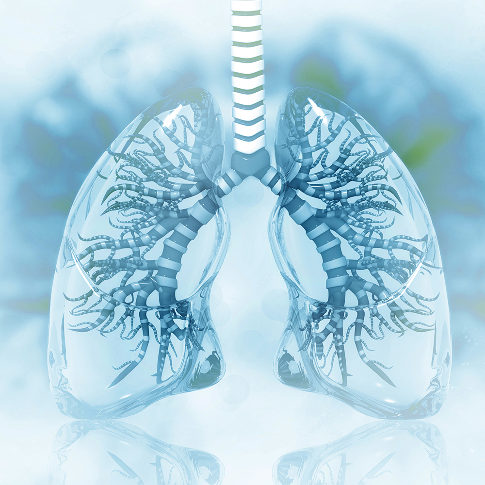 Optimizing Outcomes of Moderate-to-Severe Asthma in Rural and Underserved Settings: A Personalized Approach