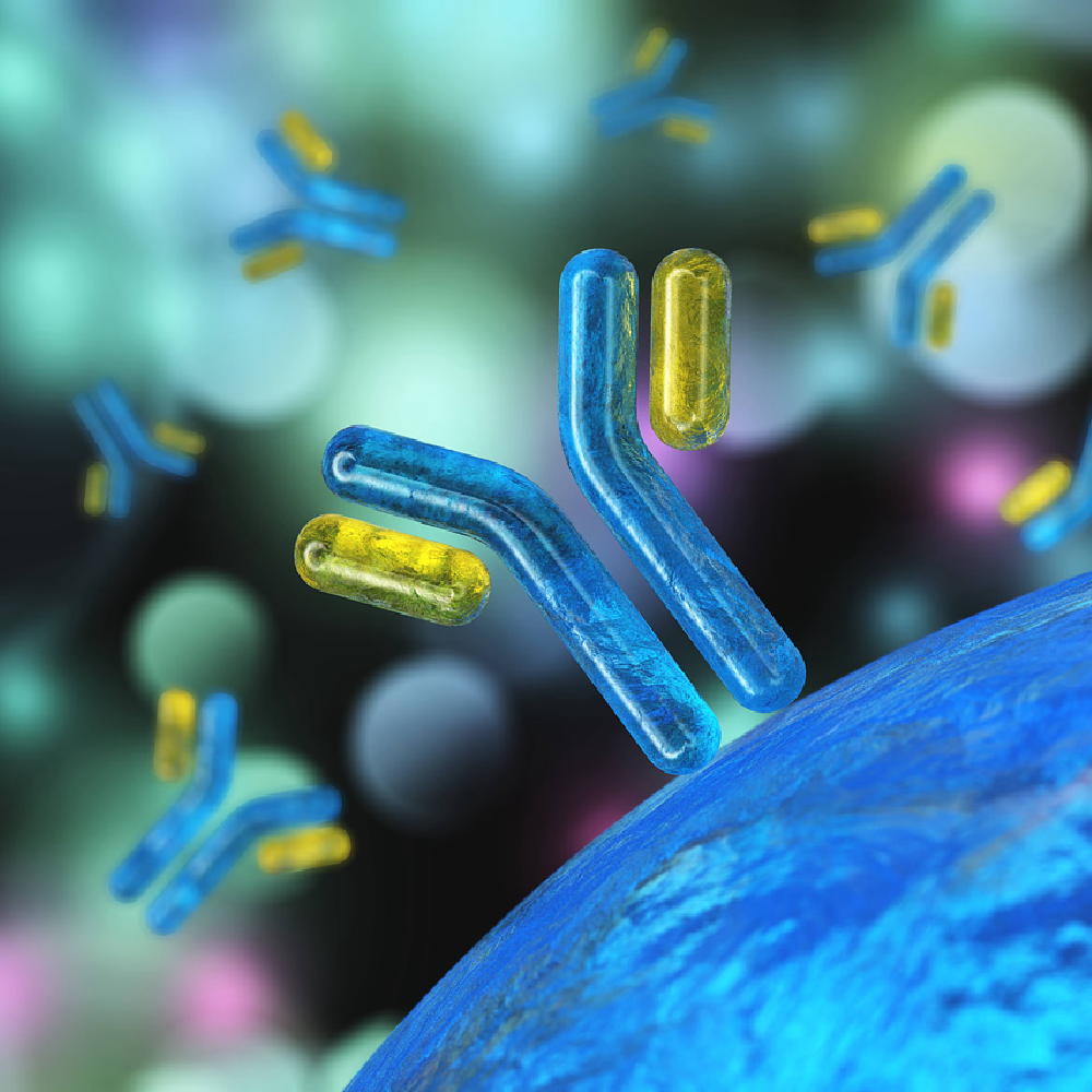Antibody-Drug Conjugates and Adverse Events: Improving Identification and Management Among Oncology Nurses Serving Rural and Underserved Communities